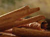 Cinnamon