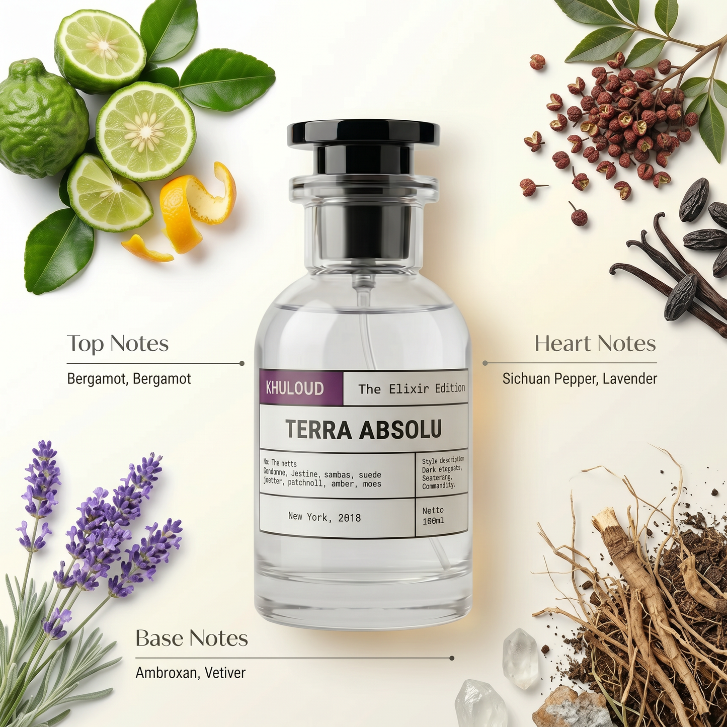 Terra Absolu